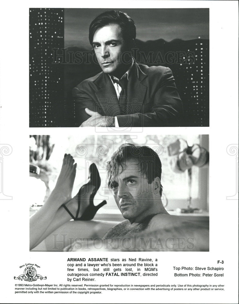 1993 Press Photo Fatal Instinct Film Actor Assante  - Historic Images