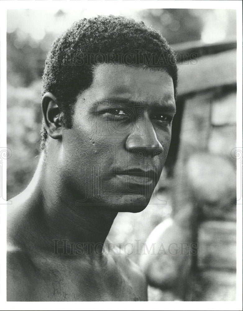 1993 Press Photo Actor Dennis Haysbert - Historic Images