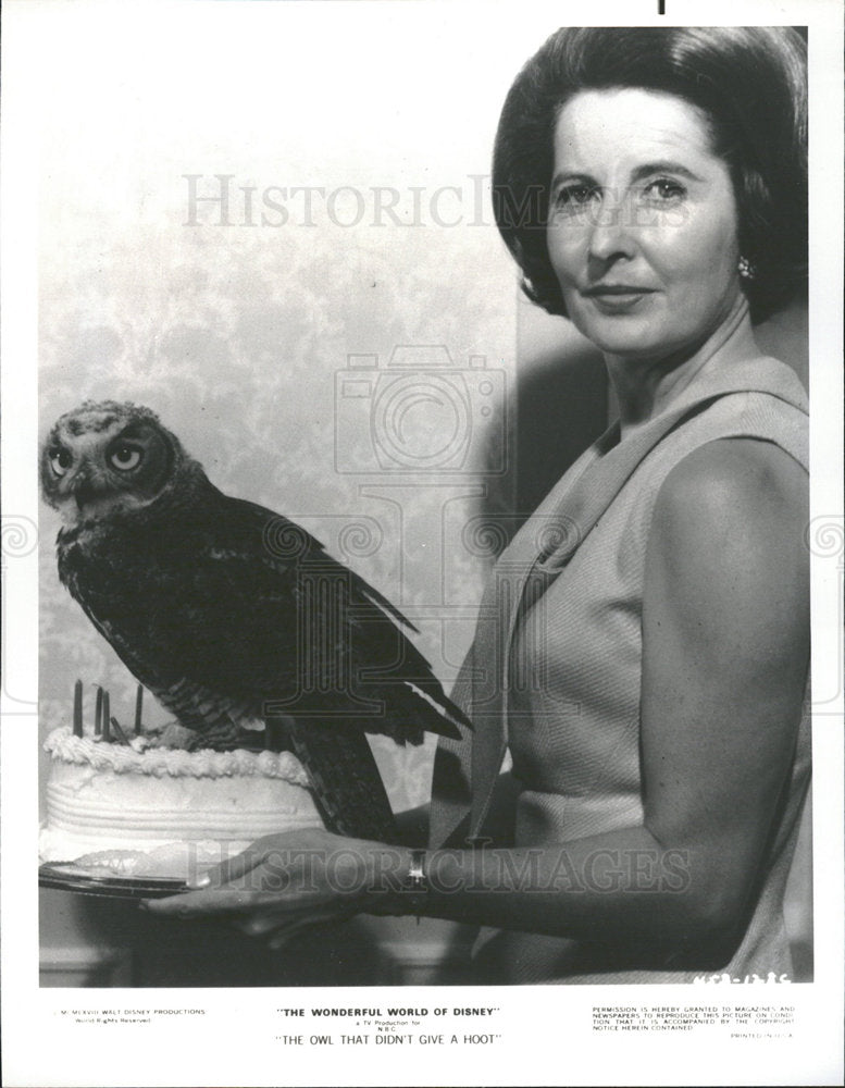 1976 Press Photo Marian Fletcher Actress - Historic Images