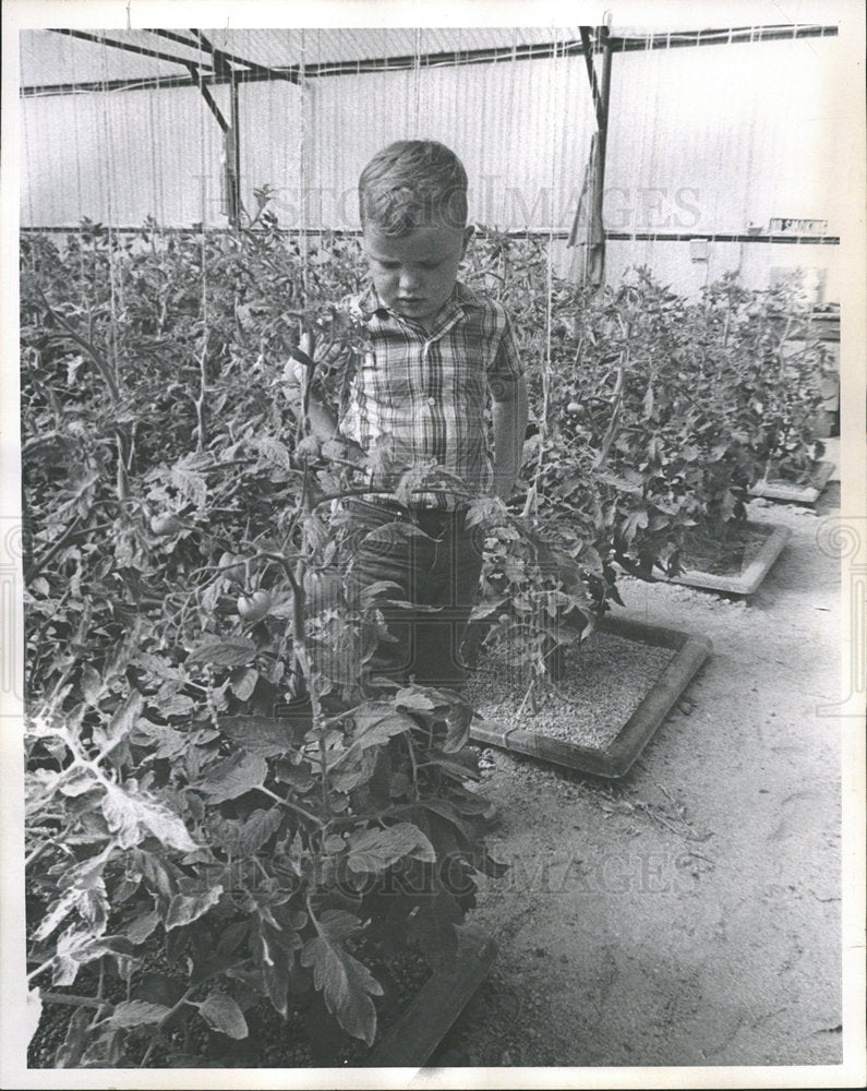 1966 Press Photo Troy Fluhorty son Mr Mrs Stanley House - Historic Images