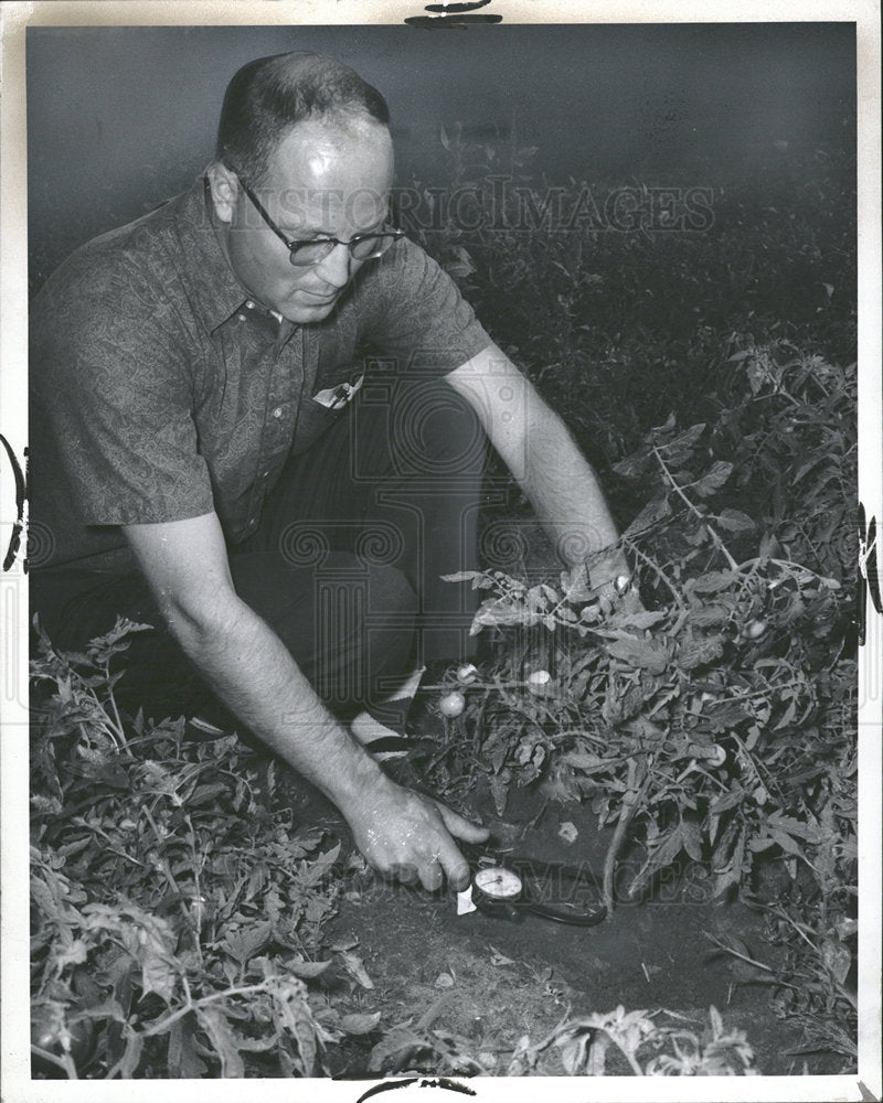 1965 Press Photo San Ries Michigan State University  - Historic Images