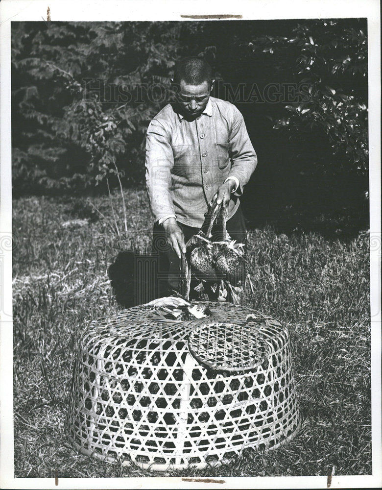 1946 Press Photo Duck Hunting Challenge Japan - Historic Images