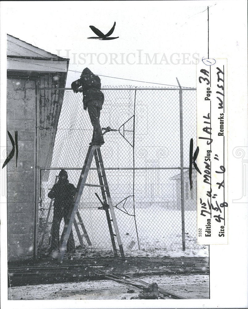 1976 Press Photo Men On Ladders Repairing Fence - Historic Images
