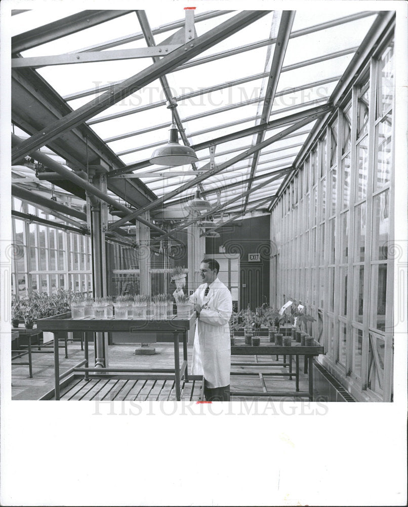 1955 The Laboratory's Greenhouse-Historic Images
