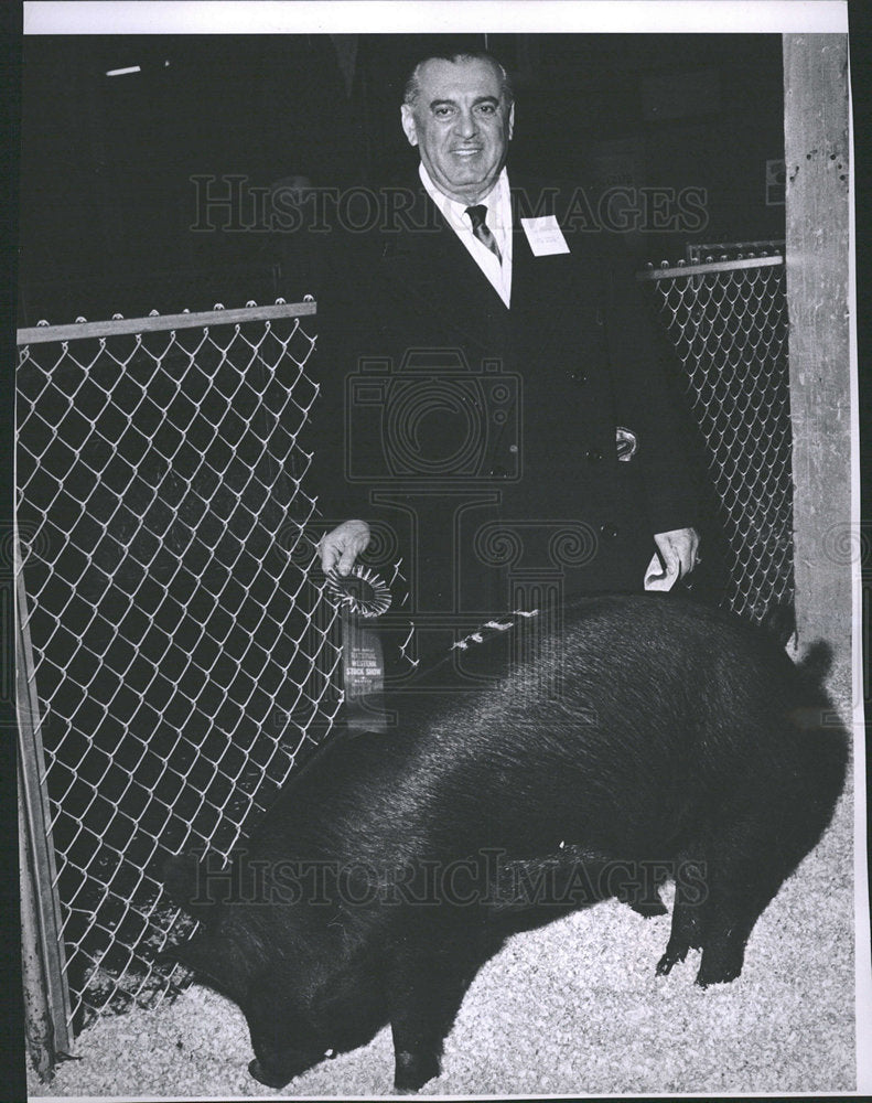 1964 Press Photo Lou Coffee Grand Champion  Iowa - Historic Images