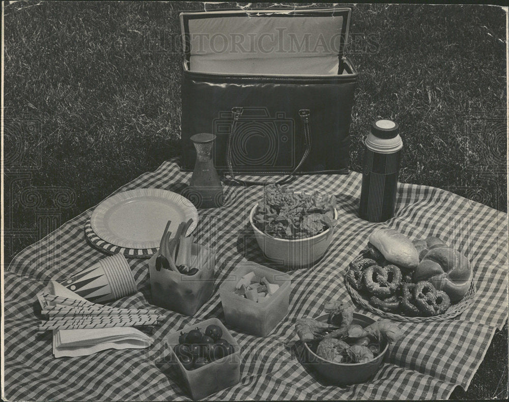 1966 Press Photo Summer Sun Grass Provide Family Fun - Historic Images