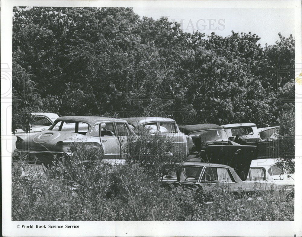 1970 Press Photo Junk Automobiles Lot Piled Up - Historic Images