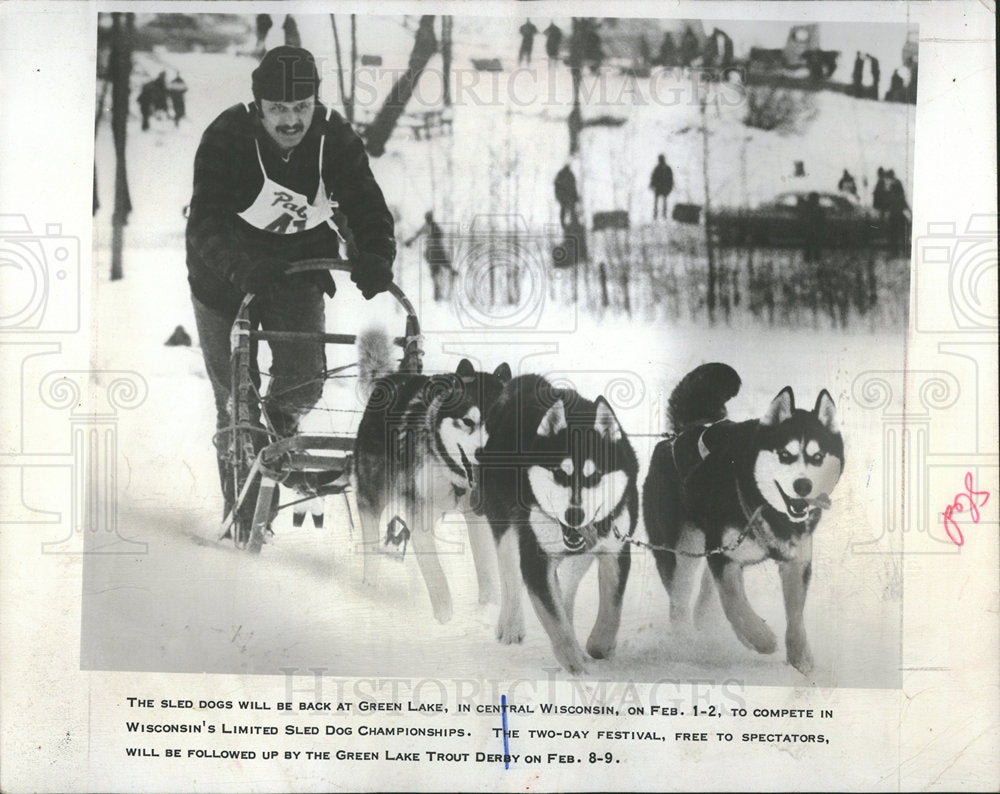 1975 Press Photo Green Lake Holds Sled Dog Competition - Historic Images