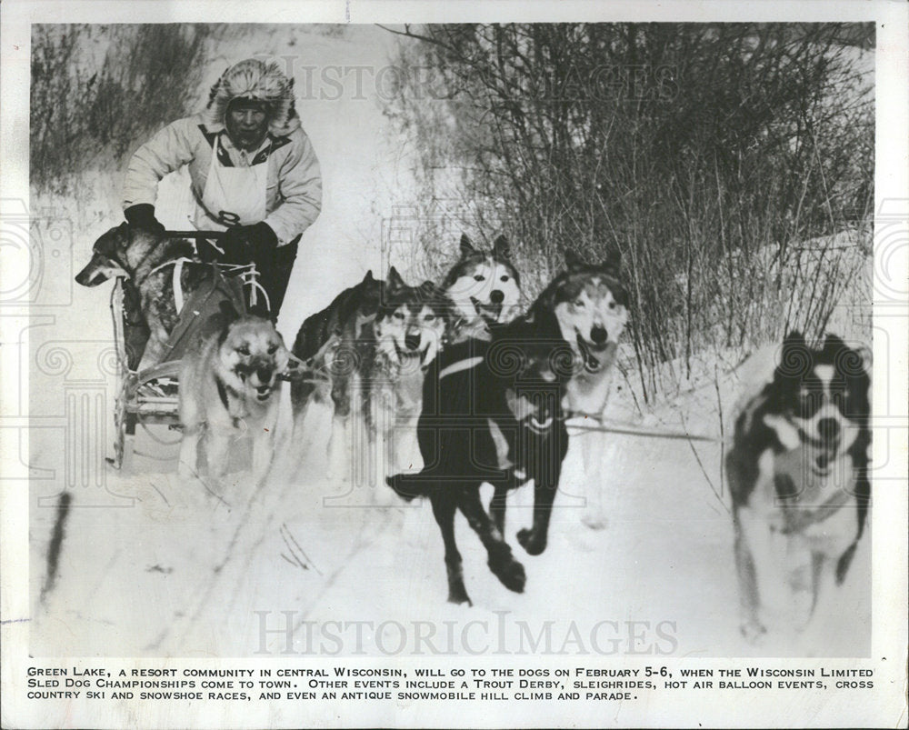 1977 Press Photo Sled Dog Championships In Wisconsin - Historic Images