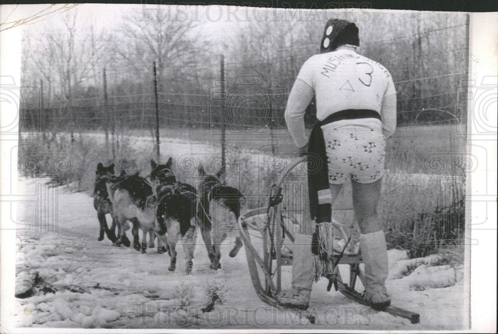 1964 Press Photo Man Dog Sled Race - Historic Images
