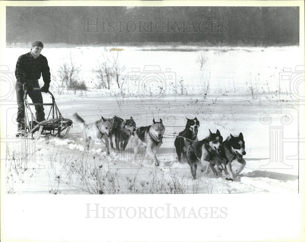 1984 Press Photo Chicago Musher Dog Sled - Historic Images