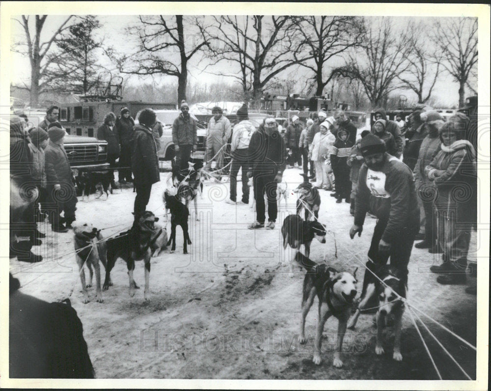 1986 Press Photo Sled Dog Races In Muskegon, Michigan - Historic Images