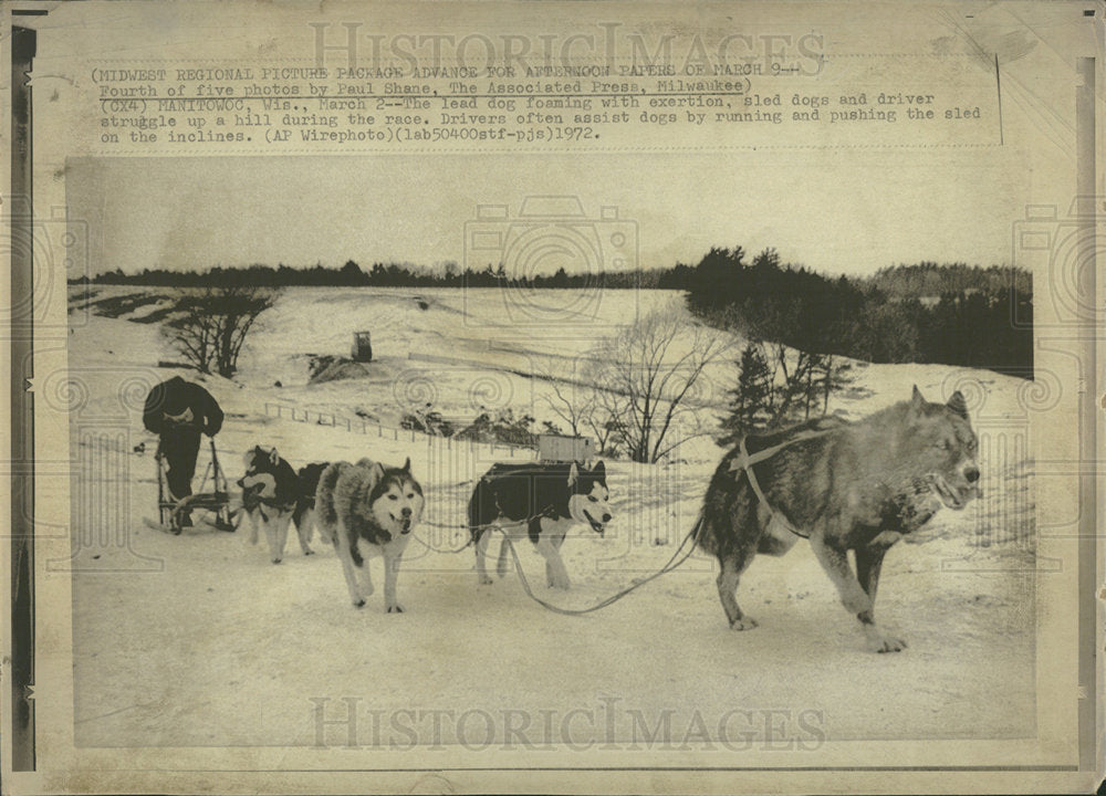 1972 Press Photo Dog Sled Race - Historic Images