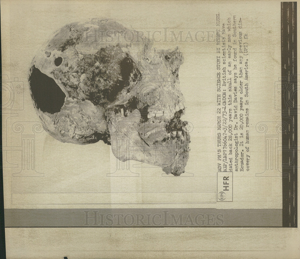 1973 Press Photo 28,000-Year-Old Skull of Early Man - Historic Images
