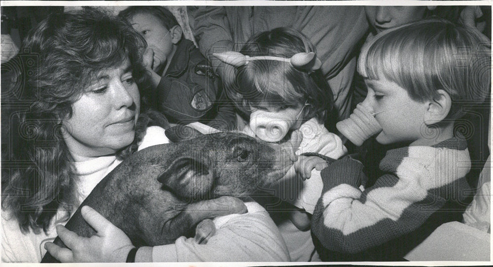 1991 Press Photo Pig Day Brookfield Children's Zoo - Historic Images