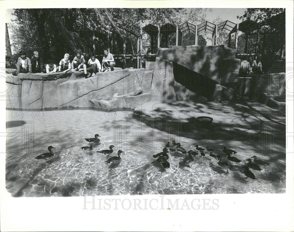1988 Press Photo Pritzker Childrens Zoo Lincoln Park  - Historic Images