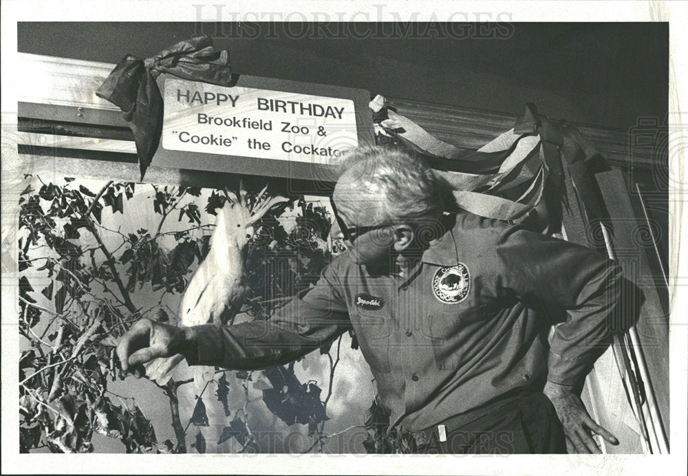 1979 Press Photo Brookield Zoo Cockatoo 45th Birthday - Historic Images