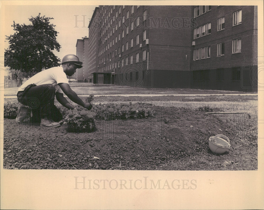 1994 Press Photo CHA Worker Plants Flowers Before Visit - Historic Images
