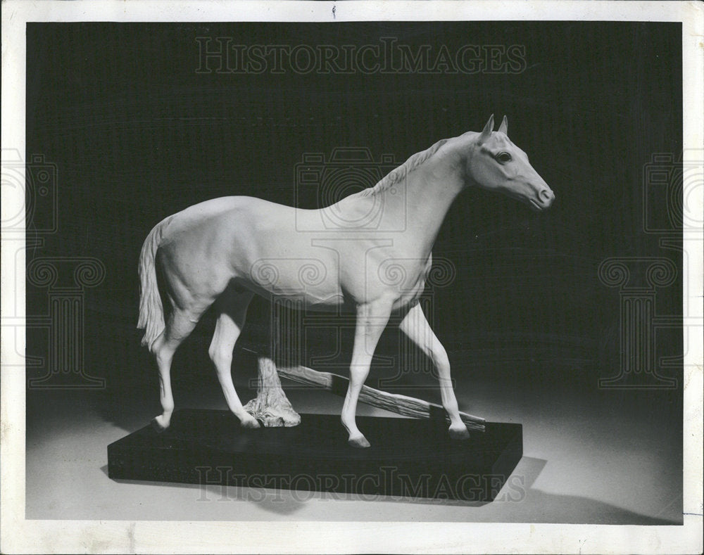 1967 Press Photo Porcelain Horse New Jersey Museum - Historic Images