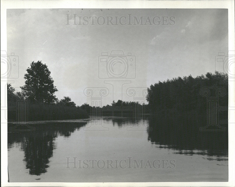 Press Photo River tree  - Historic Images