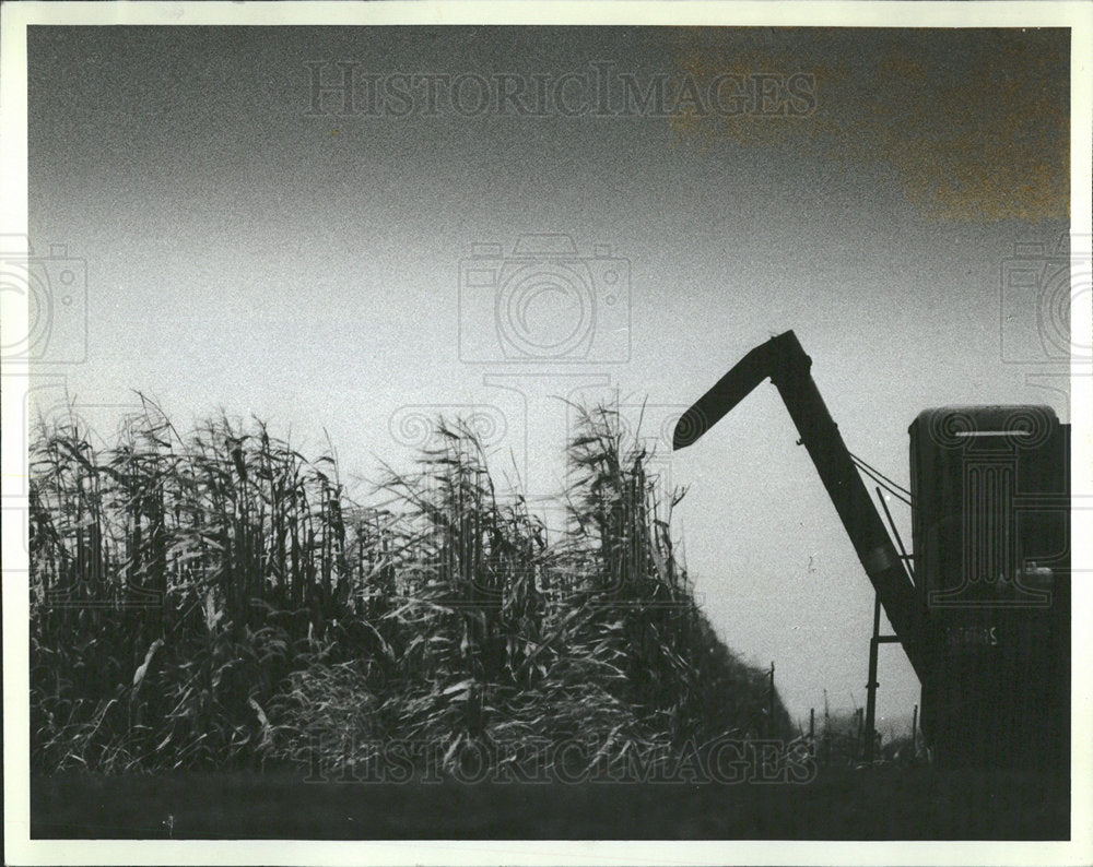 1982 Press Photo Symbol Thanksgiving American Harvest  - Historic Images