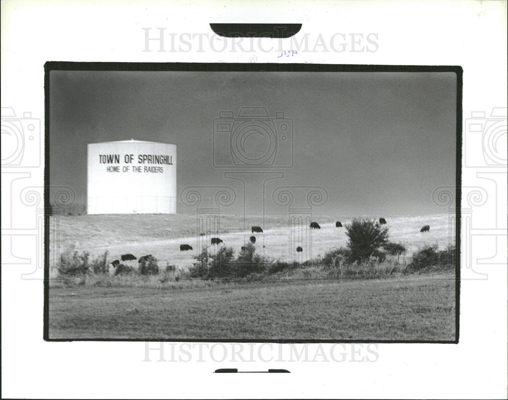 1985 Press Photo Water Tower Off Route 31 - Historic Images