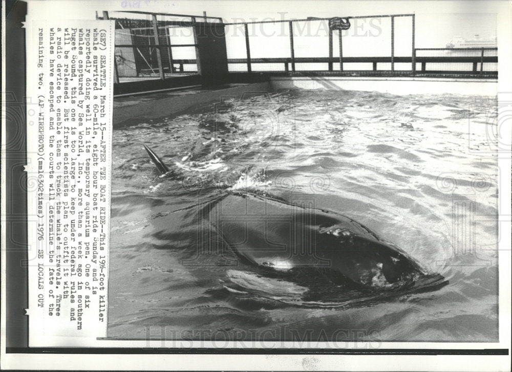 1976 Press Photo Boat ride Foot Killer Aquarium Pen - Historic Images
