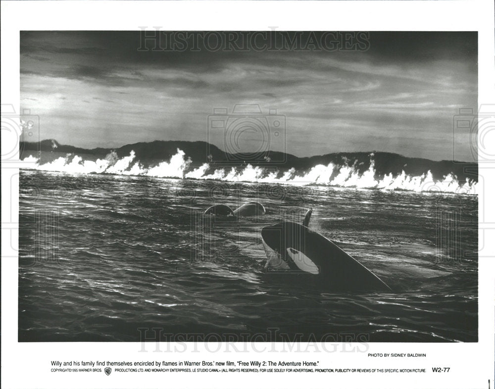 1997 Press Photo Flames Warner Bros Free Willy Home  - Historic Images