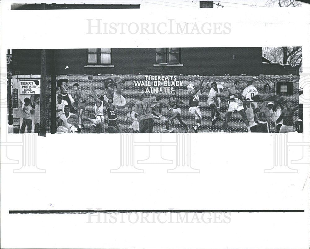 1979 Press Photo Tigercats wall of the black athletes. - Historic Images