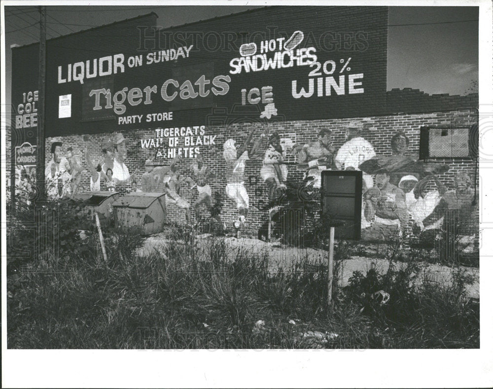 1985 Press Photo Detroit Art Tiger Cats Party House   - Historic Images