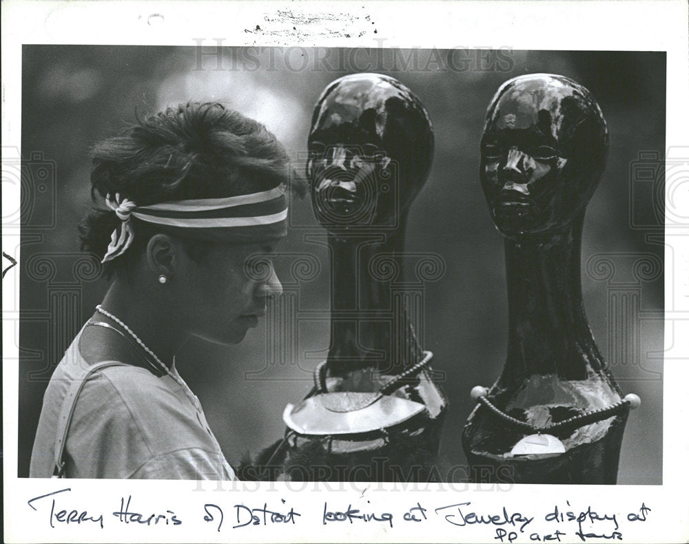 1985 Press Photo Terry Harris Detroit Art Show Palmer  - Historic Images