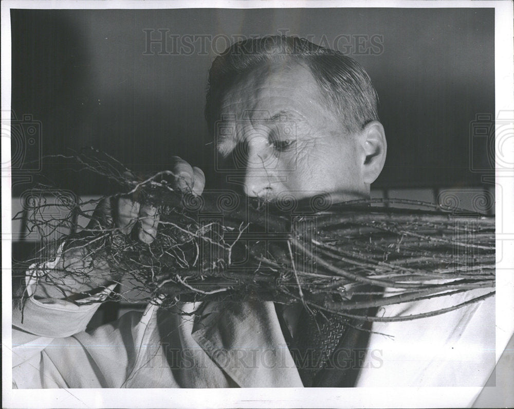 1953 Marcus McMaster Dept Agriculture Mich - Historic Images