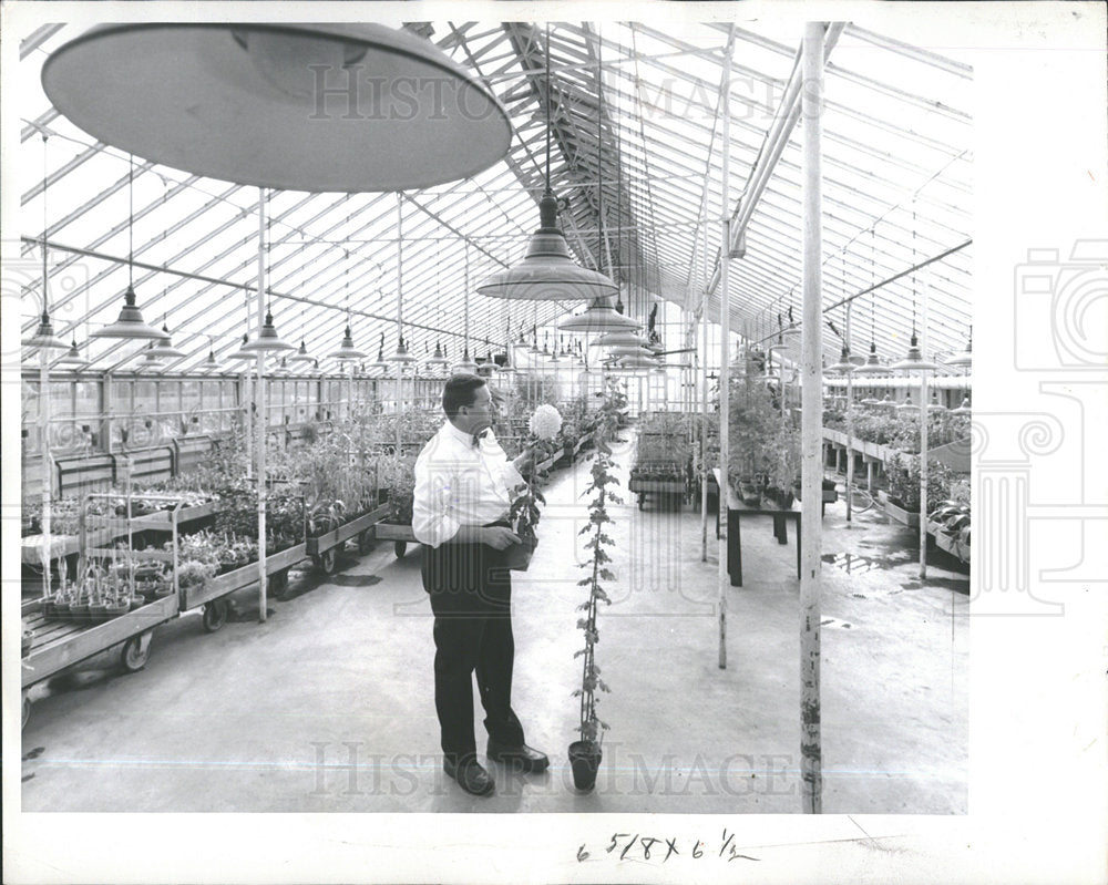 1960 Press Photo DEPT OF AGRICULTURE ALBERT A. PIRINGER - Historic Images