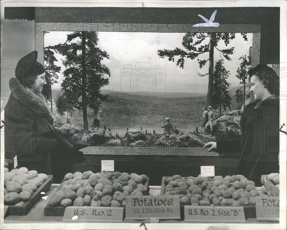 1938 Press Photo potato display Detroit - Historic Images
