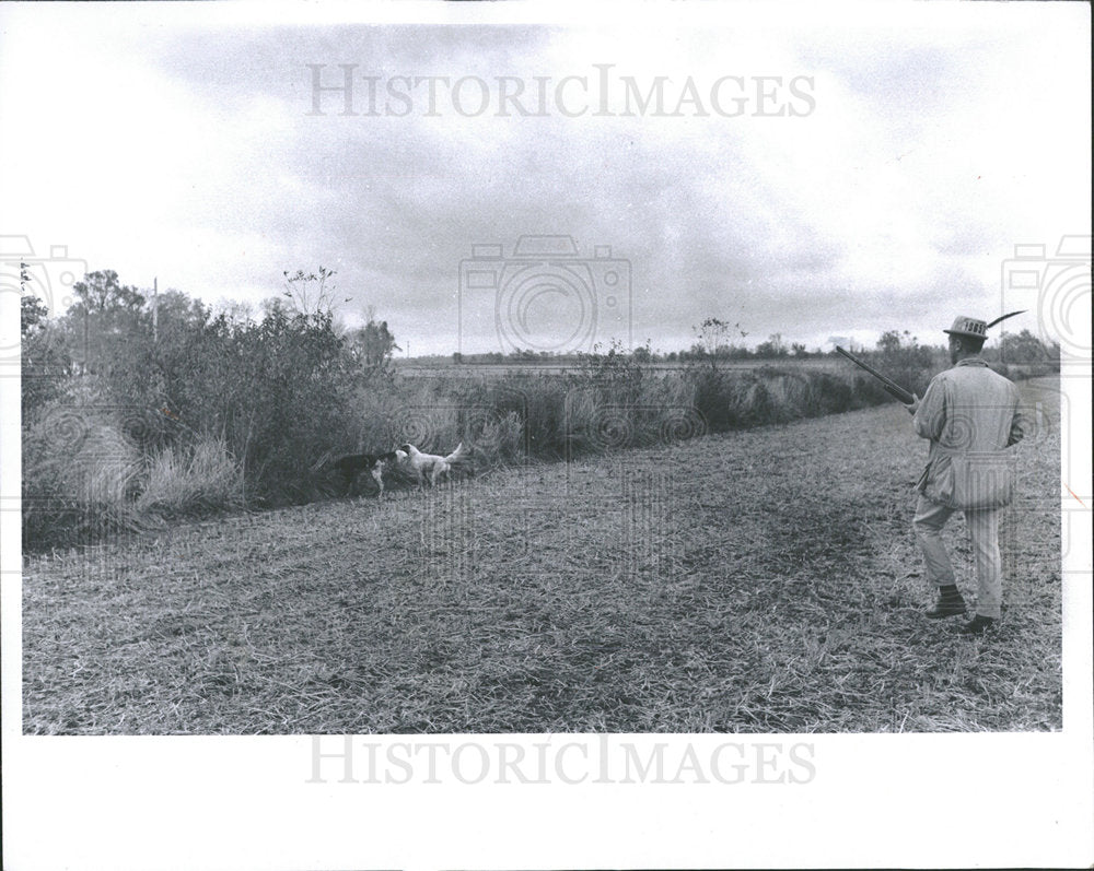 1968 Press Photo Hunting Pheasants Pebe Island - Historic Images