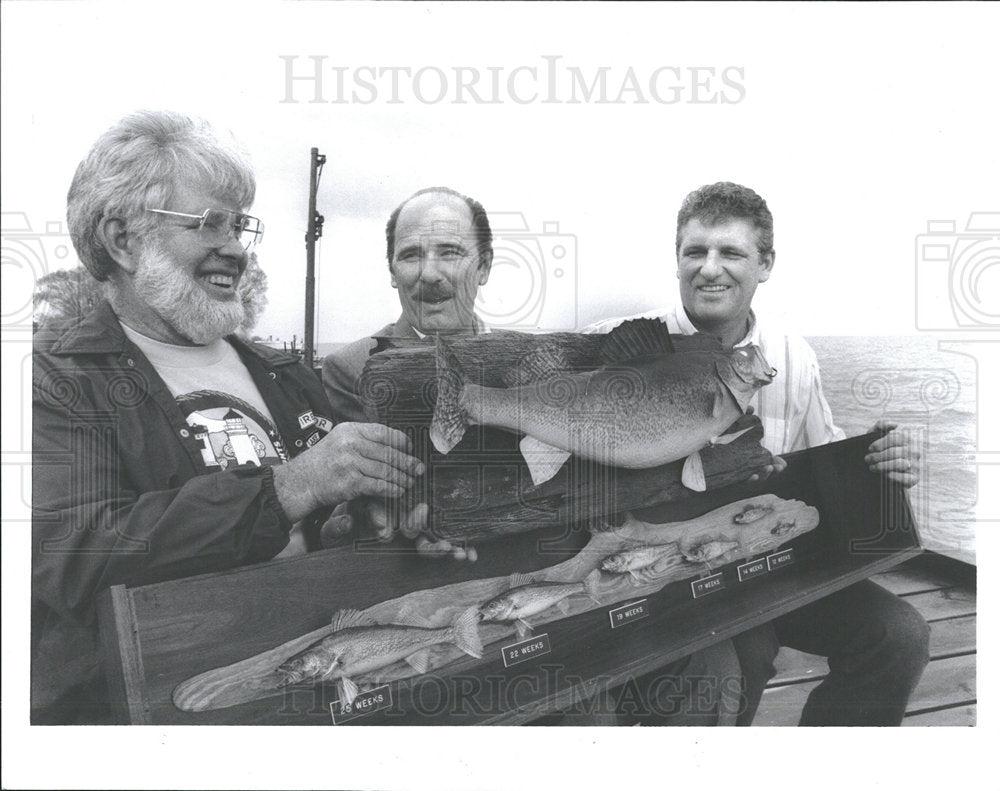 1989 Press Photo Walleye Fish Cycle Minnows Display - Historic Images