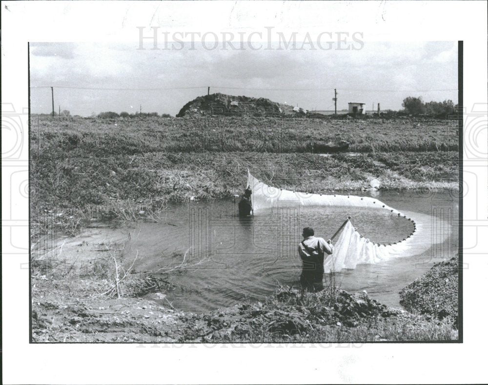 1990 Press Photo Men Checking Growth Of Walleye In Pond - Historic Images
