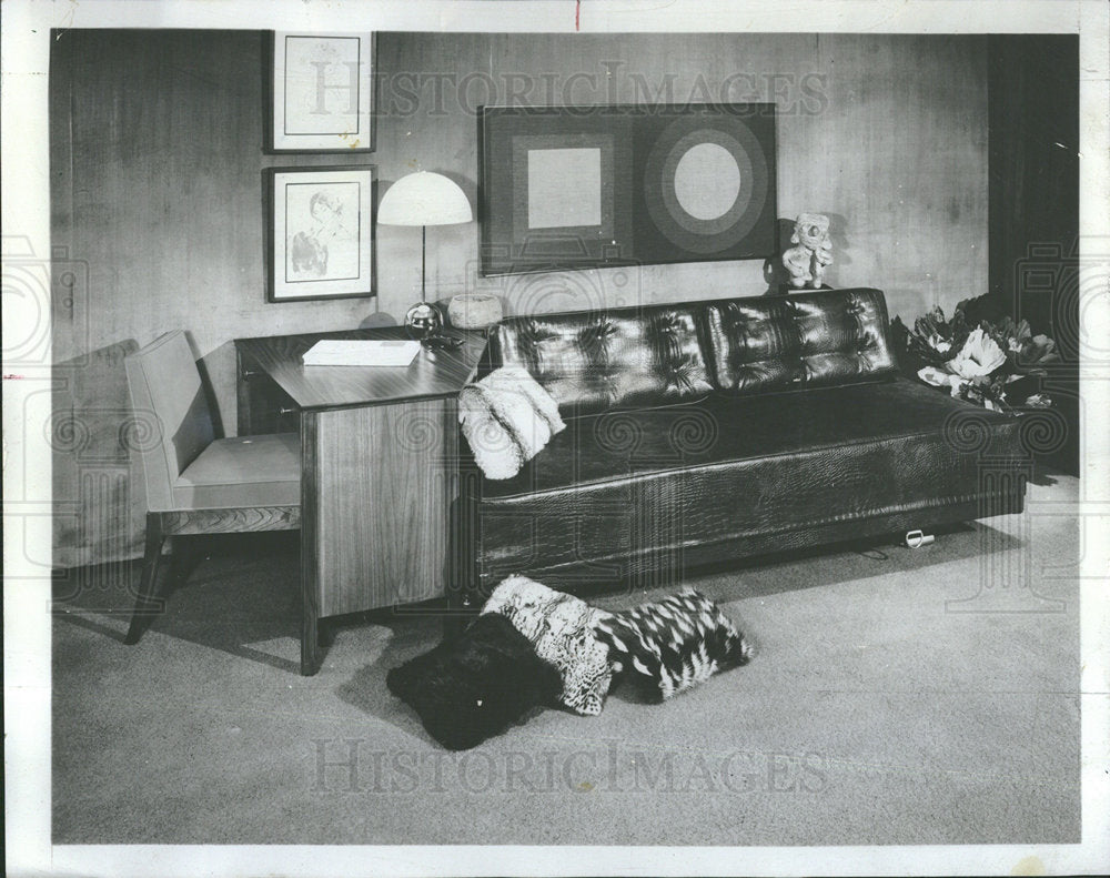 1967 Press Photo New Family, TV and Guest Room  - Historic Images