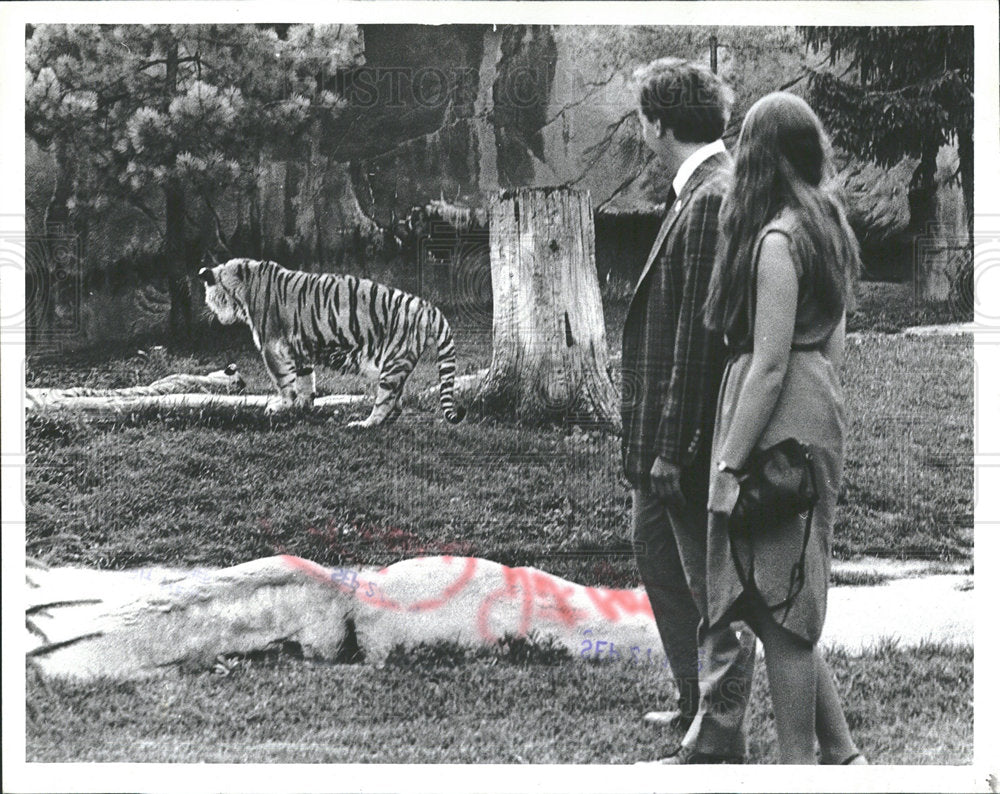 1981 Press Photo Detroit Zoo Tiger Man Woman - Historic Images