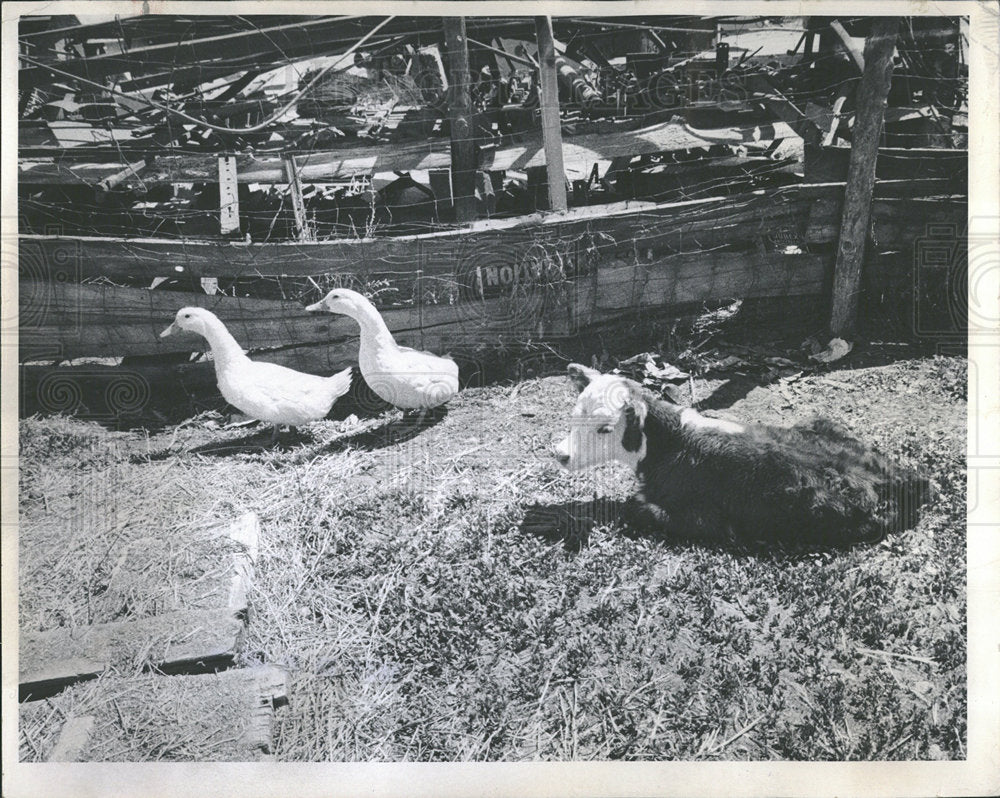 1968 Press Photo Charles Harold Herrmann Ranch - Historic Images