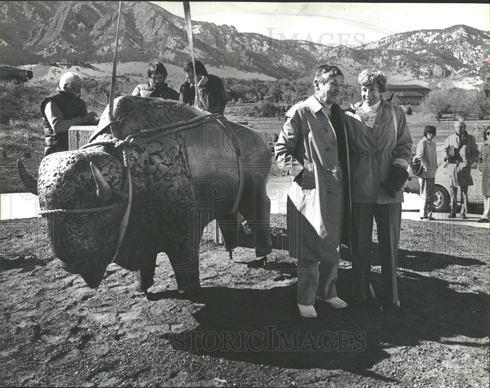 1979 Press Photo Bronze Buffalo Statue/Memorial/Denver - Historic Images