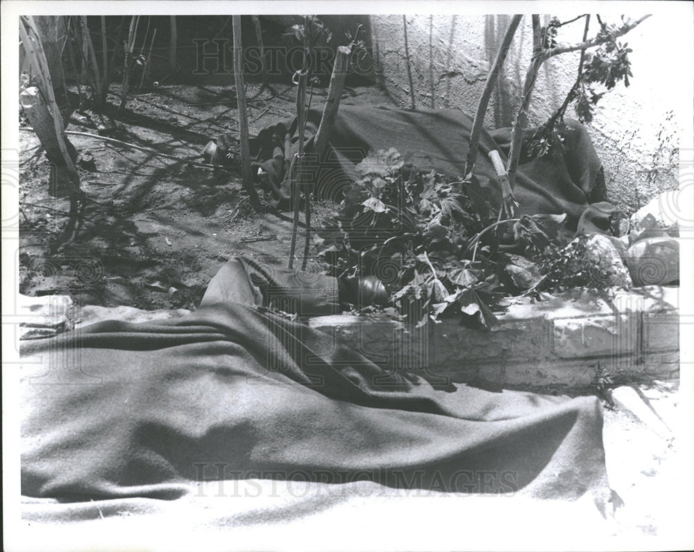 1971 Press Photo Body Of Escape Attempter Bell - Historic Images