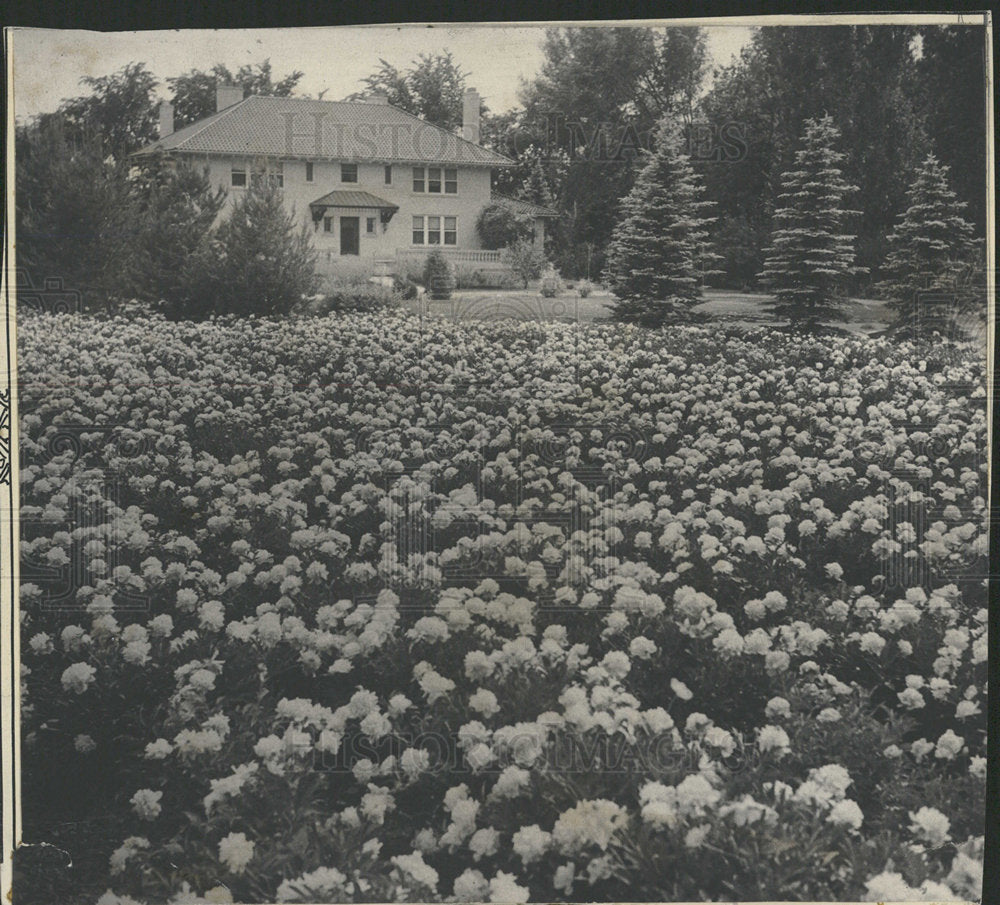 1933 Press Photo Rose garden in Hubhardt home. - Historic Images