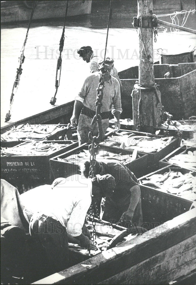1970 Press Photo Fishing industry of Argentina. - Historic Images