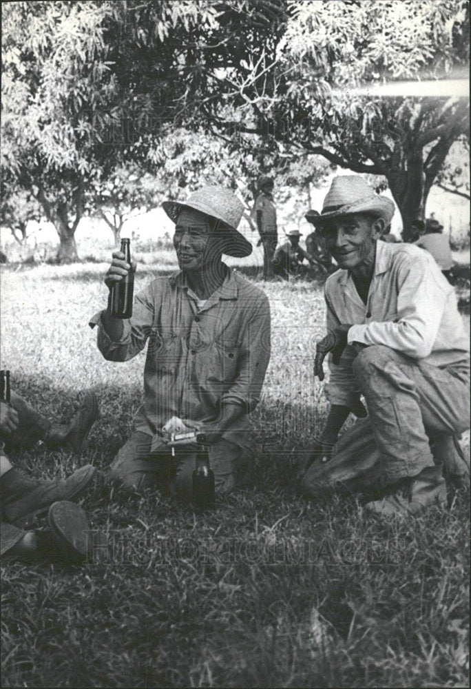 1970 Press Photo Farmers Isle pine Cuba Agriculture - Historic Images