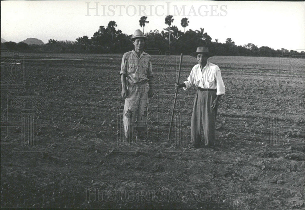 1970 Press Photo Farmer Isle Pine Plough Land Cuba Snap - Historic Images