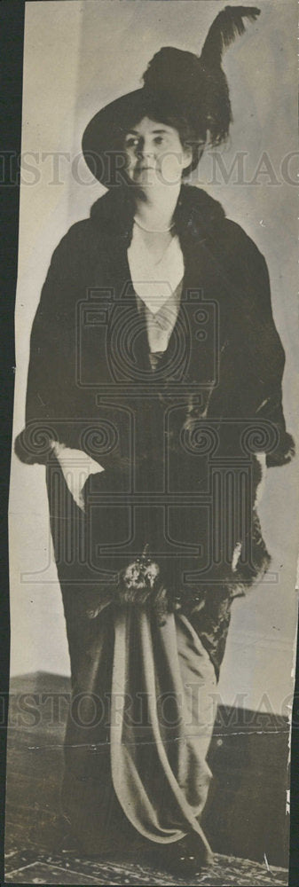 1919 Press Photo Lindley Garrison cabinet congress  - Historic Images