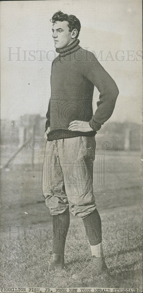 Hamilton Fish, Jr., American Politician New York State - Historic Images