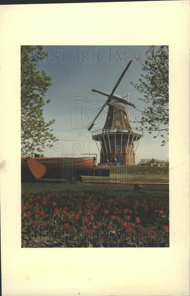 1982 Press Photo Tulip Festival Holland Mill  - Historic Images