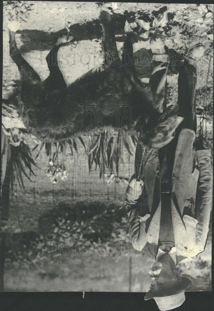 Press Photo S. Lillybridge and dog Prince - Historic Images